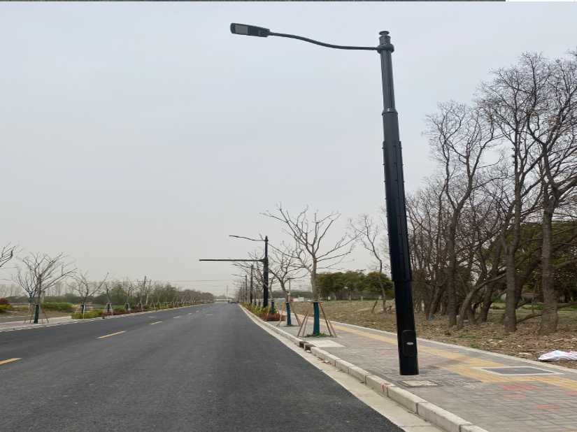 仁寿县上海综合杆 太阳能路灯工程